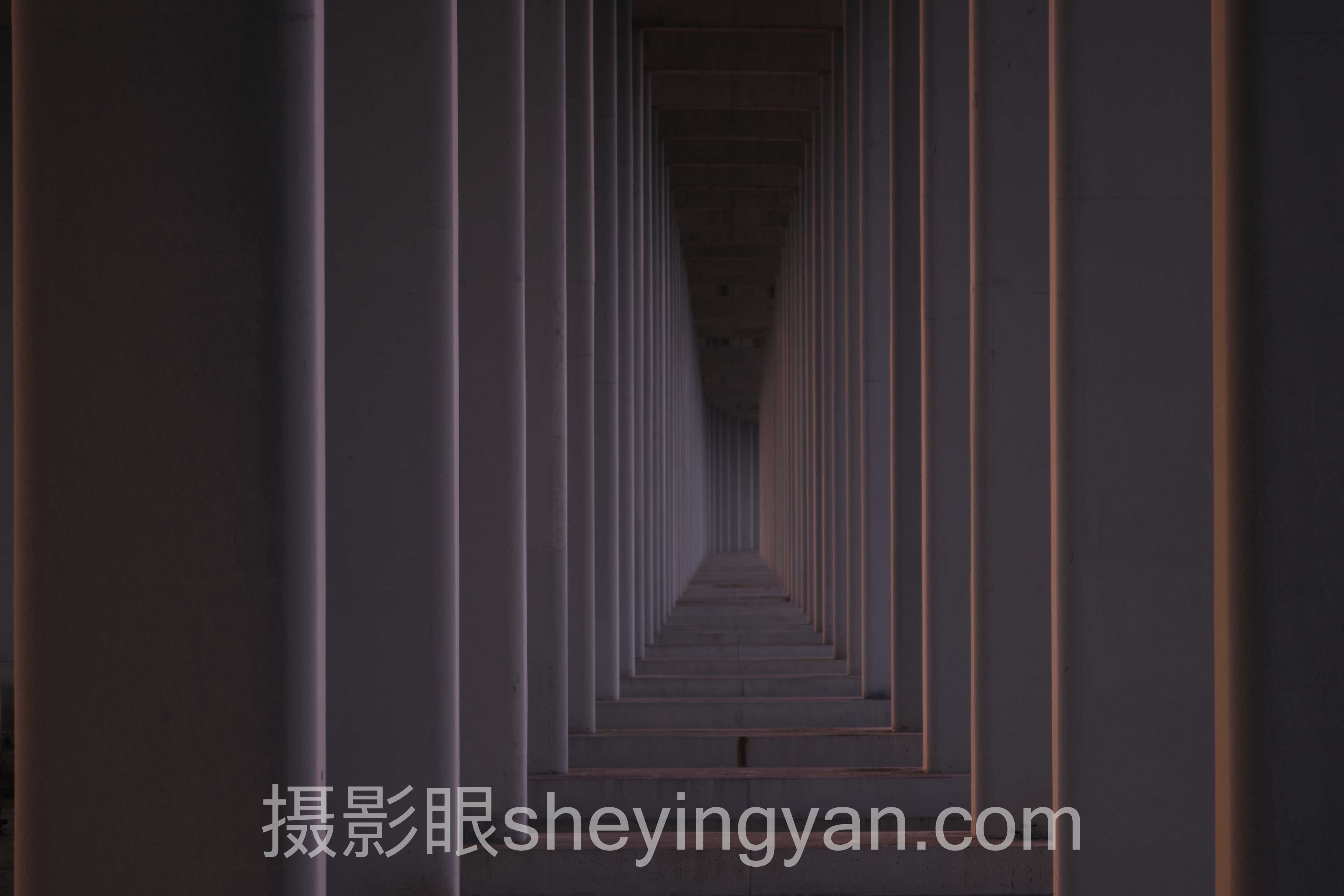 索尼相机和佳能相机哪个好完整指南：从入门到精通的5个步骤