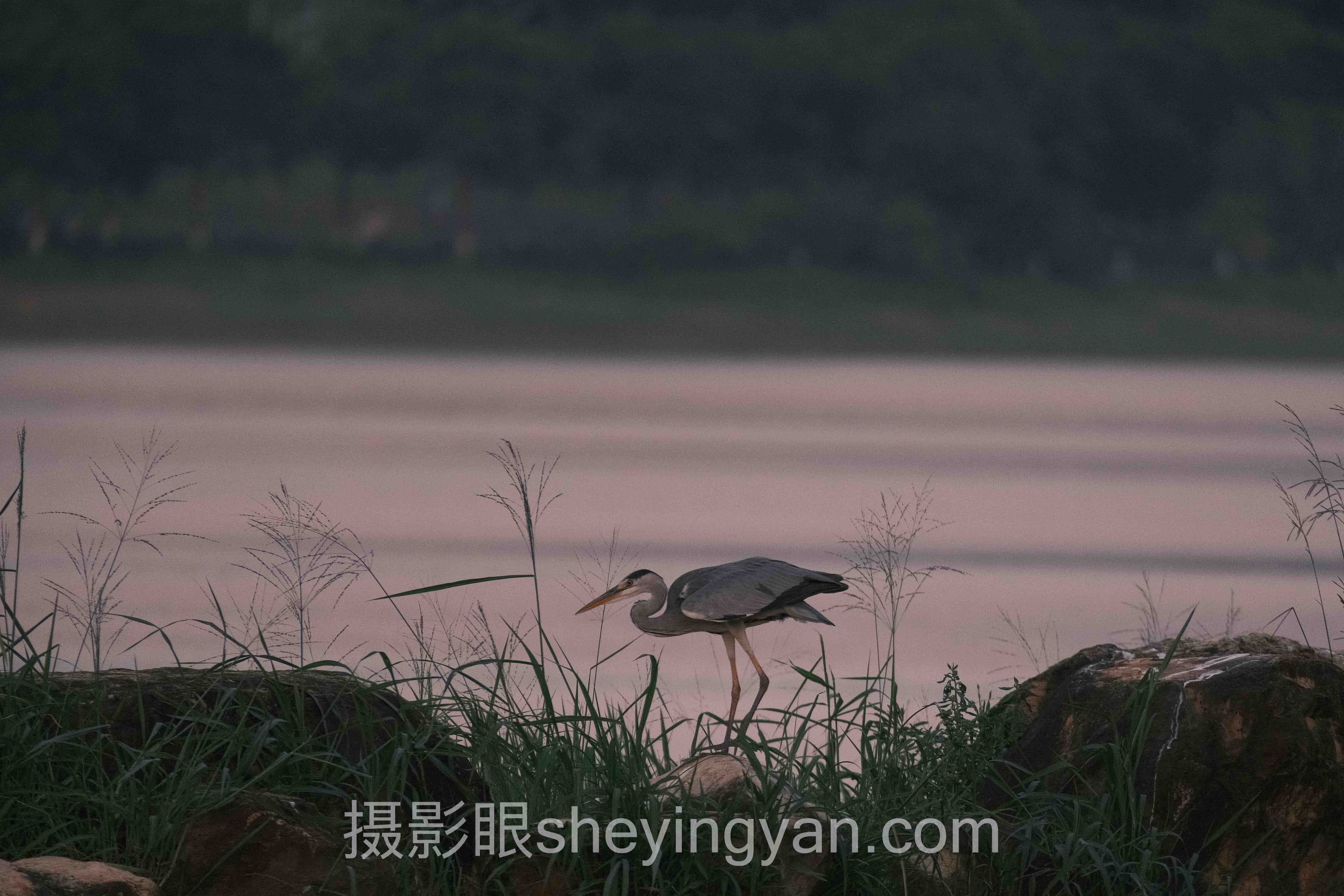 奶油色调参数行业数据全景：6组数据揭示修图真相