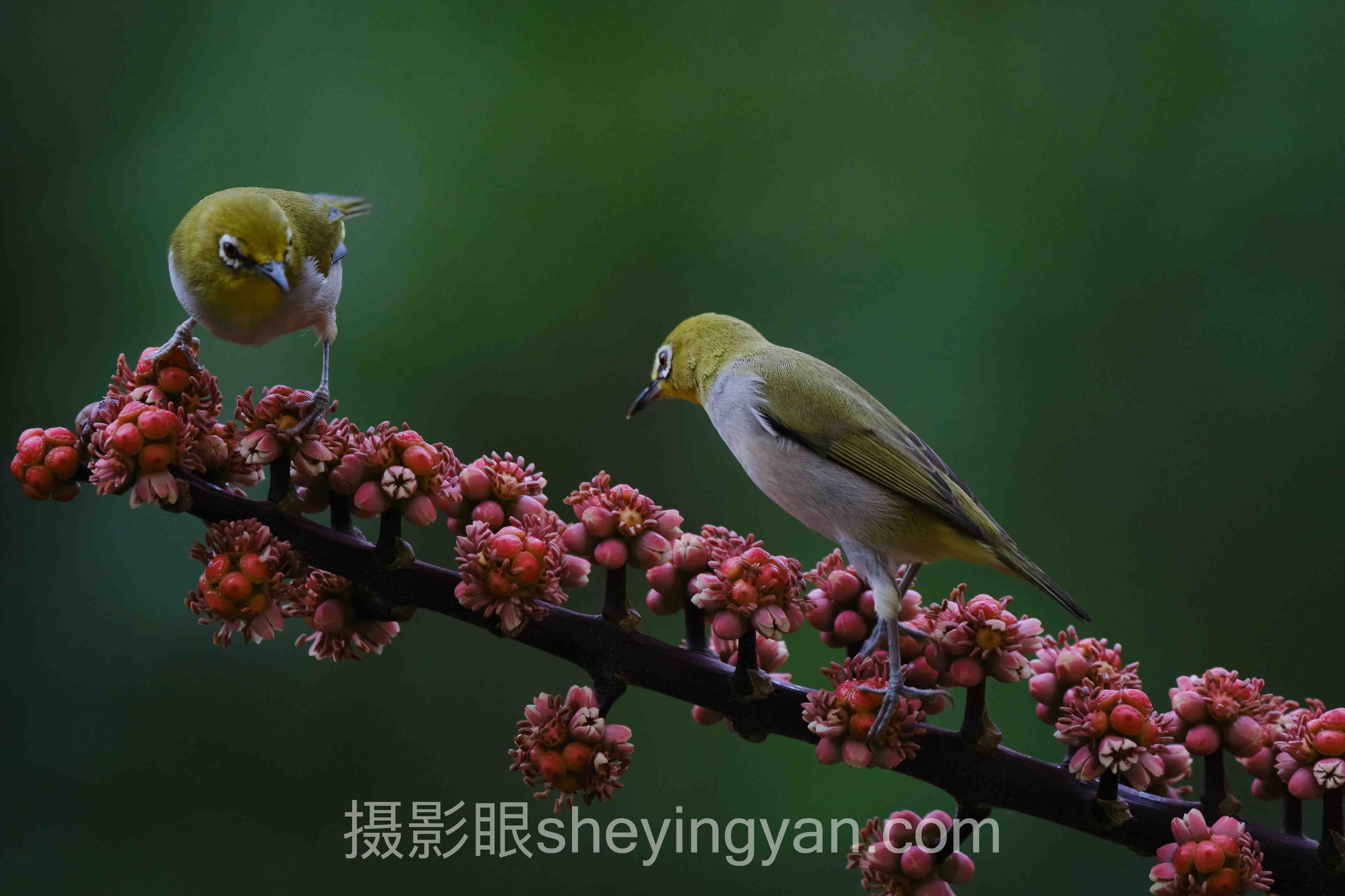 照片点评平台登录实操指南：避开这3个坑