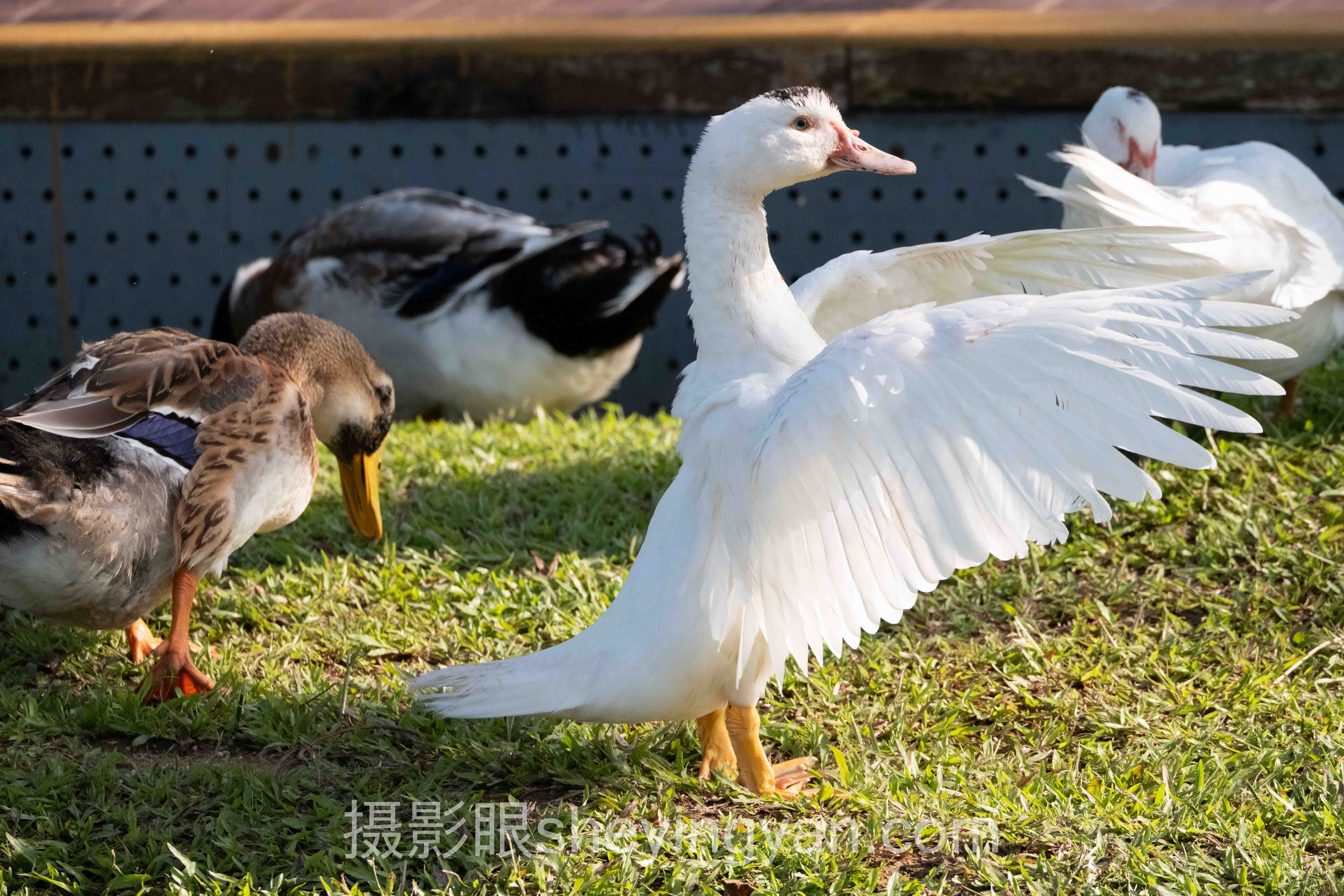 如何快速摄影进步