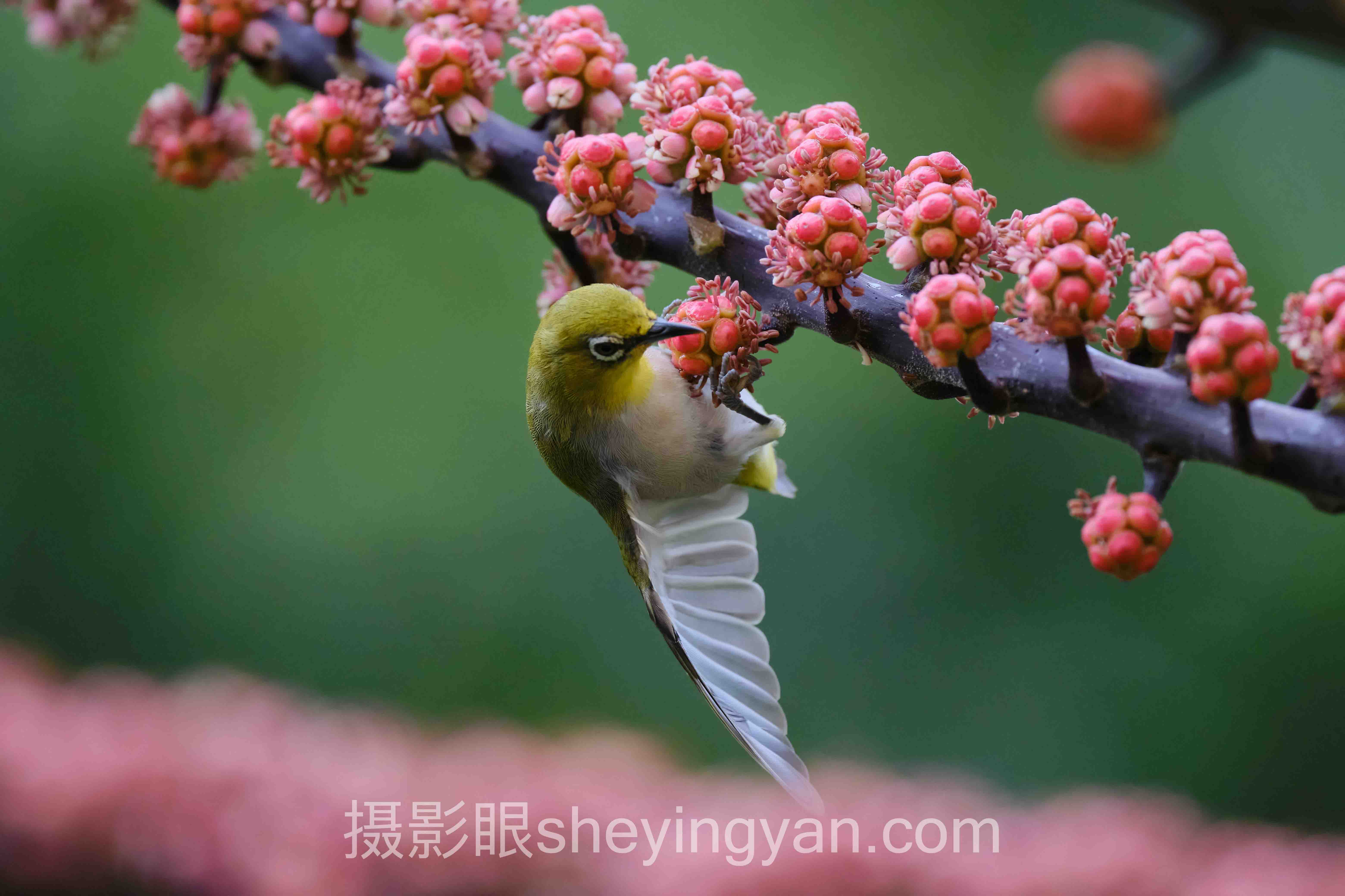 摄影进步心得分享：从快门速度到画面叙事的实操指南