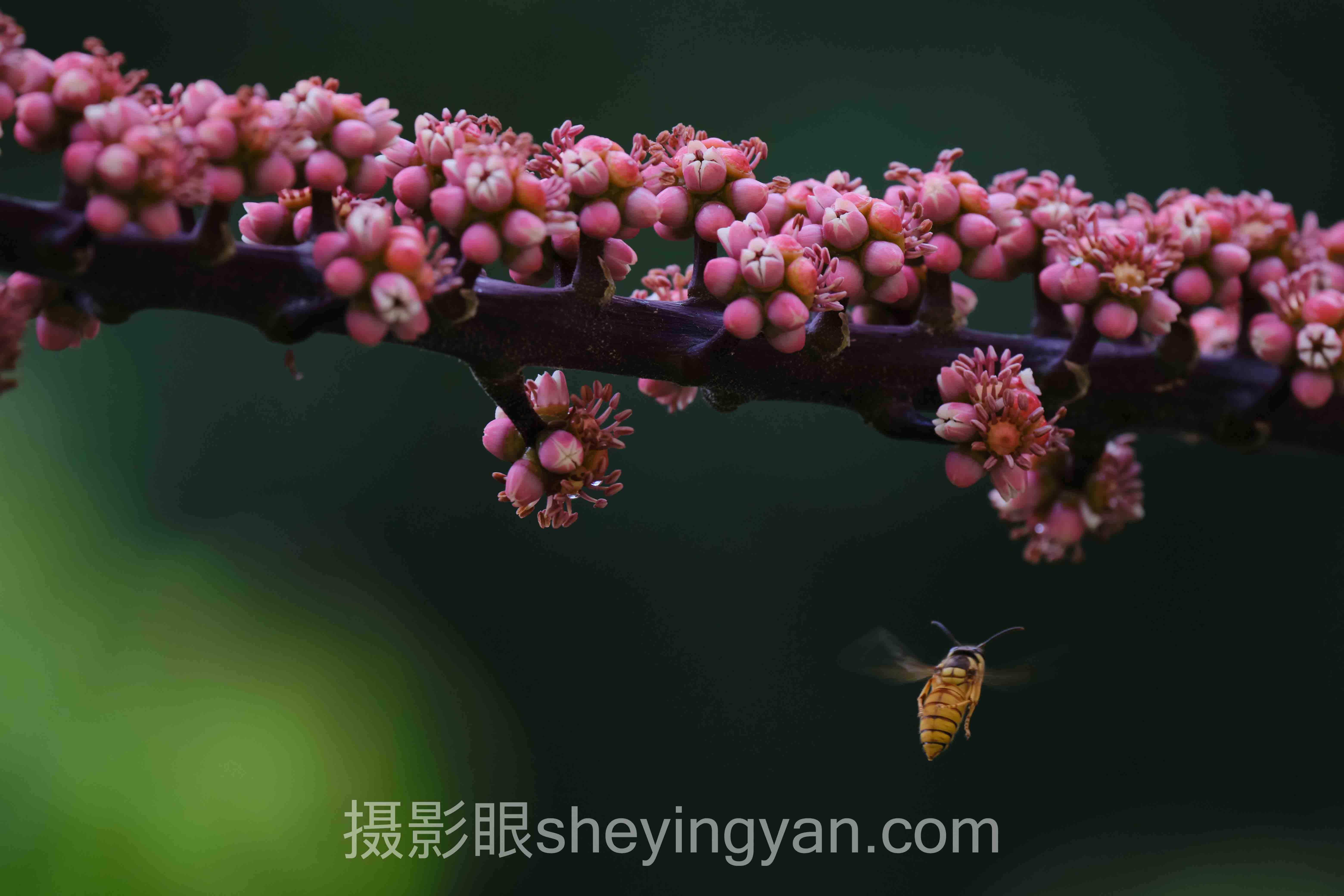 新手怎么学摄影:从手残到大师的蜕变之路